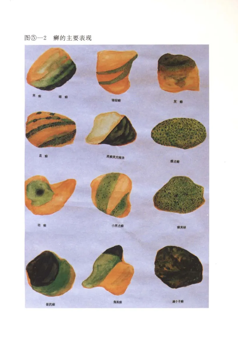 翡翠赌石技巧与鉴赏-徐军_X018-玉石珠宝鉴定教程最新合集_6、翡翠鉴定专题全套课程_翡翠电子书_翡翠投资