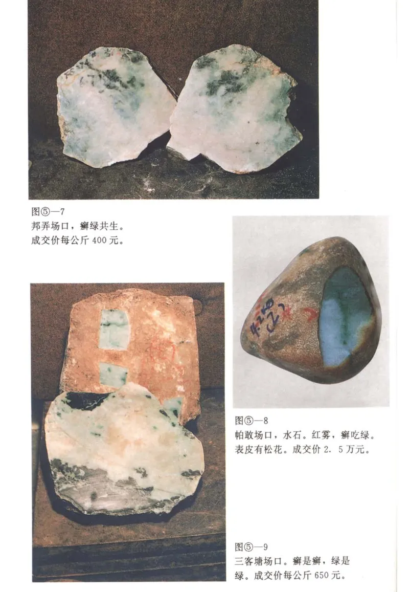 翡翠赌石技巧与鉴赏-徐军_X018-玉石珠宝鉴定教程最新合集_6、翡翠鉴定专题全套课程_翡翠电子书_翡翠投资