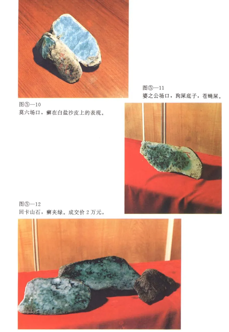翡翠赌石技巧与鉴赏-徐军_X018-玉石珠宝鉴定教程最新合集_6、翡翠鉴定专题全套课程_翡翠电子书_翡翠投资
