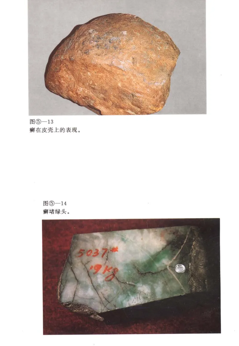 翡翠赌石技巧与鉴赏-徐军_X018-玉石珠宝鉴定教程最新合集_6、翡翠鉴定专题全套课程_翡翠电子书_翡翠投资