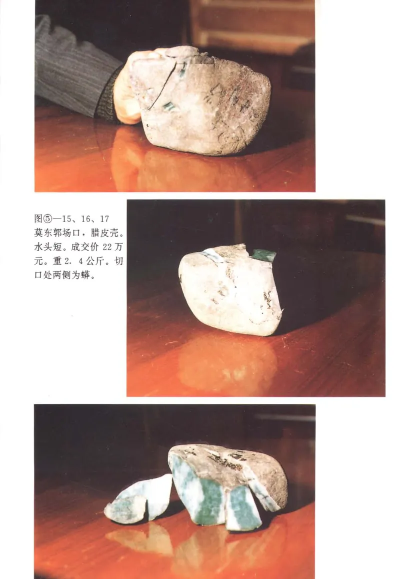 翡翠赌石技巧与鉴赏-徐军_X018-玉石珠宝鉴定教程最新合集_6、翡翠鉴定专题全套课程_翡翠电子书_翡翠投资