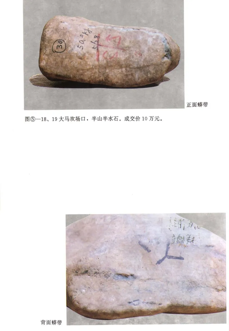 翡翠赌石技巧与鉴赏-徐军_X018-玉石珠宝鉴定教程最新合集_6、翡翠鉴定专题全套课程_翡翠电子书_翡翠投资