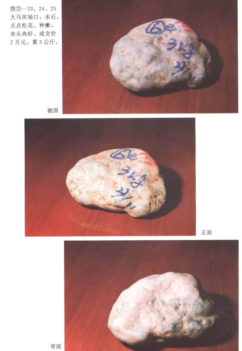 翡翠赌石技巧与鉴赏-徐军_X018-玉石珠宝鉴定教程最新合集_6、翡翠鉴定专题全套课程_翡翠电子书_翡翠投资