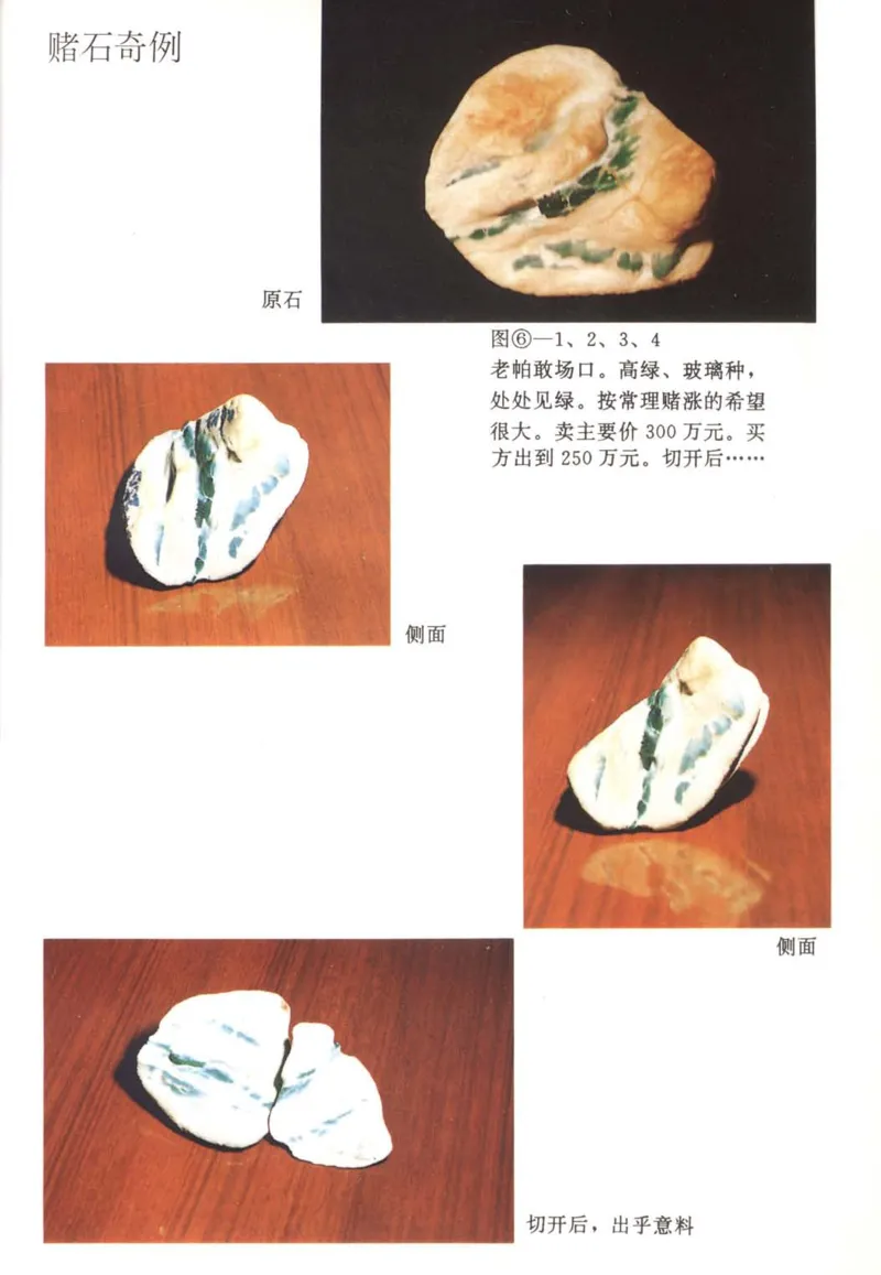 翡翠赌石技巧与鉴赏-徐军_X018-玉石珠宝鉴定教程最新合集_6、翡翠鉴定专题全套课程_翡翠电子书_翡翠投资