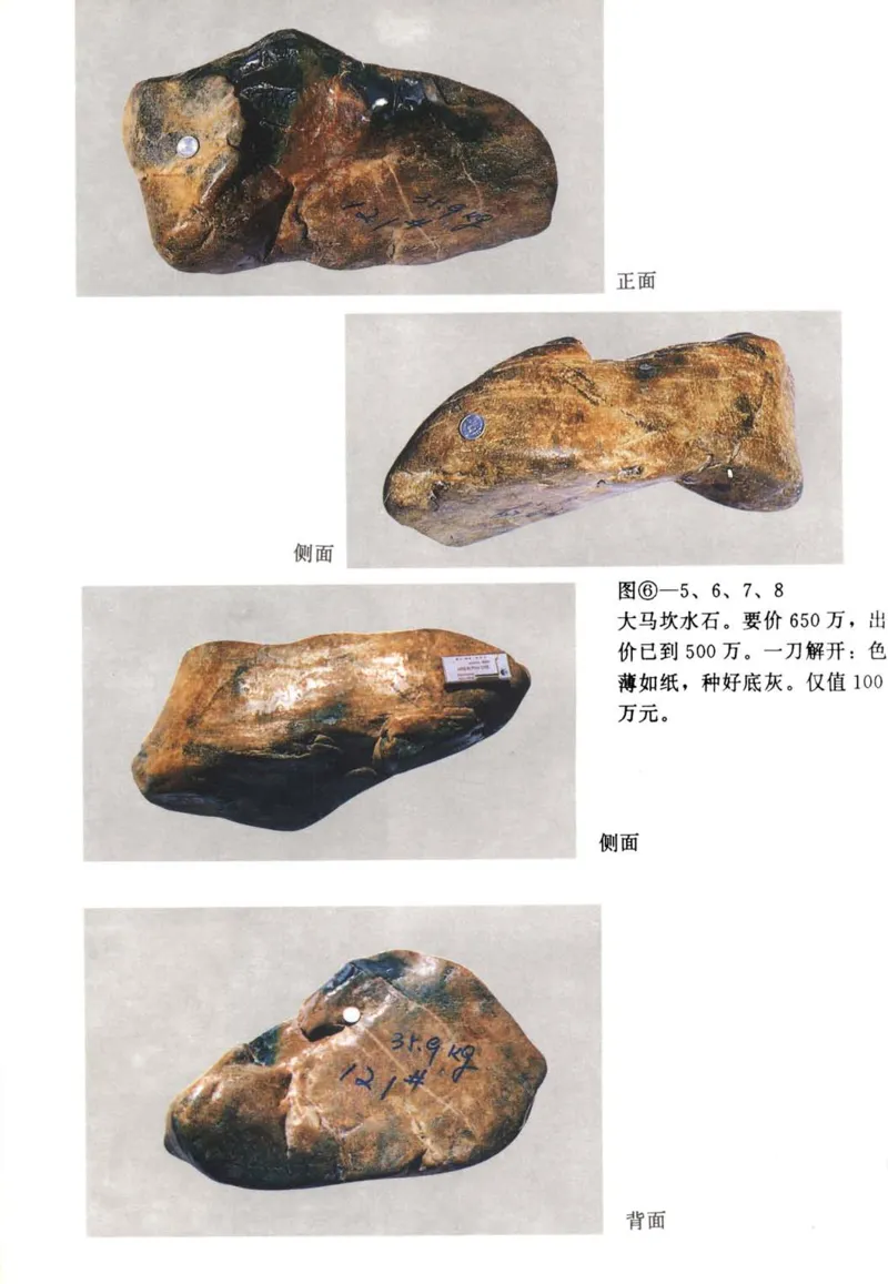 翡翠赌石技巧与鉴赏-徐军_X018-玉石珠宝鉴定教程最新合集_6、翡翠鉴定专题全套课程_翡翠电子书_翡翠投资