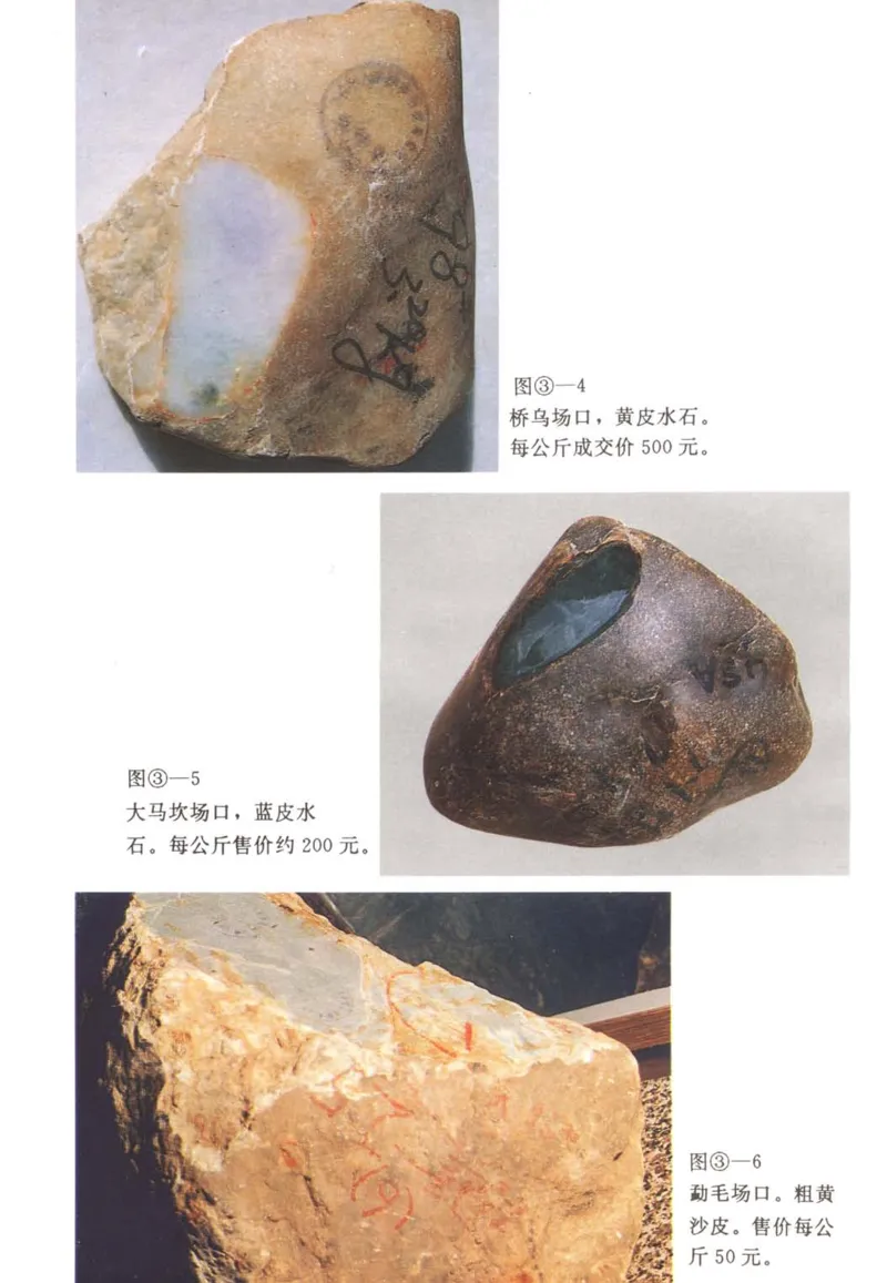 翡翠赌石技巧与鉴赏-徐军_X018-玉石珠宝鉴定教程最新合集_6、翡翠鉴定专题全套课程_翡翠电子书_翡翠投资