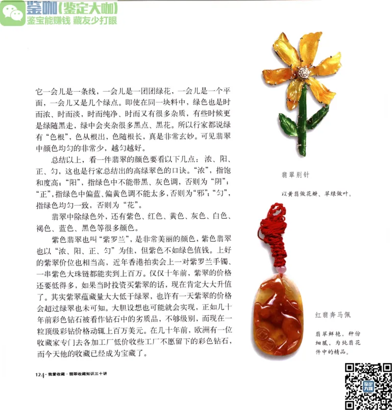 翡翠收藏知识三十讲_X018-玉石珠宝鉴定教程最新合集_6、翡翠鉴定专题全套课程_翡翠电子书_更新