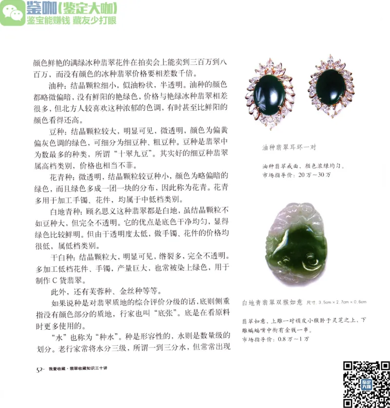 翡翠收藏知识三十讲_X018-玉石珠宝鉴定教程最新合集_6、翡翠鉴定专题全套课程_翡翠电子书_更新