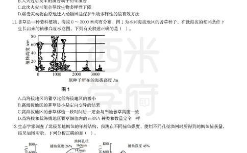 24年上-高中生物真题-题本_教资_25下资料合集二_25下最新科三知识点汇编+思维导图-高中_09.生物_02.历年真题