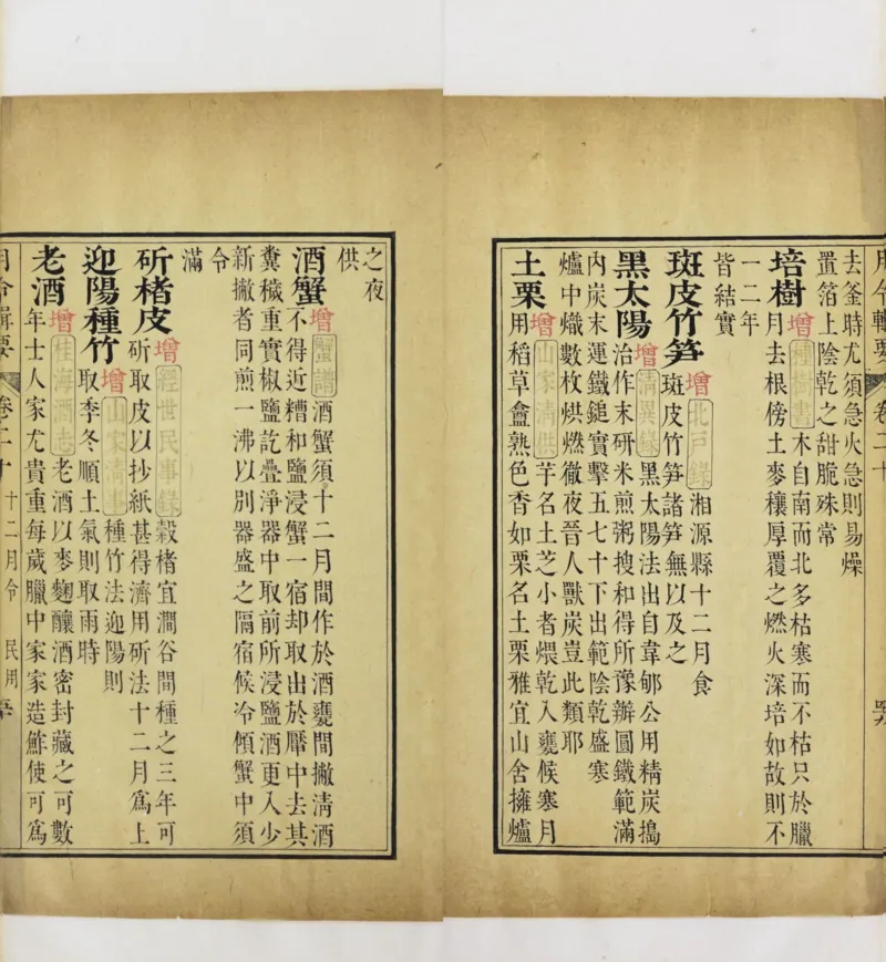 梵音斗科.上下卷.清.娄近垣.撰.清雍正时期四色套印刊本(1)_绝版书_天涯系列_t涯_绝版古籍电子书合集（13大类）_道家