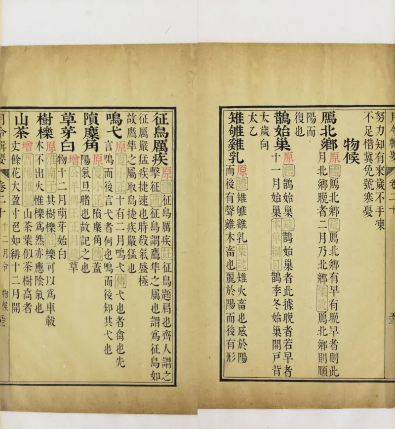 梵音斗科.上下卷.清.娄近垣.撰.清雍正时期四色套印刊本(1)_绝版书_天涯系列_t涯_绝版古籍电子书合集（13大类）_道家