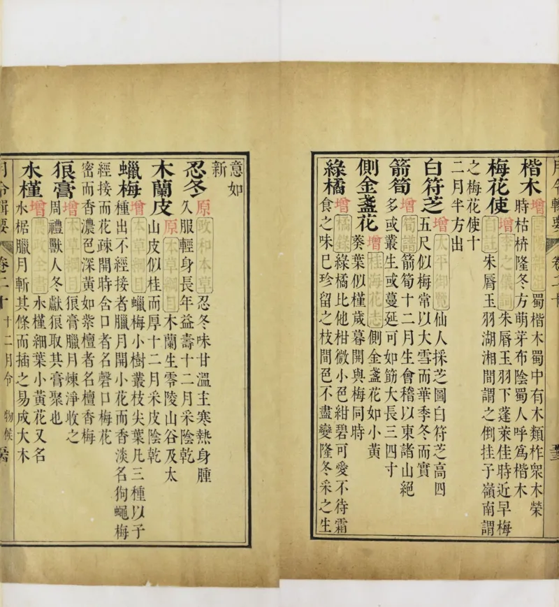 梵音斗科.上下卷.清.娄近垣.撰.清雍正时期四色套印刊本(1)_绝版书_天涯系列_t涯_绝版古籍电子书合集（13大类）_道家