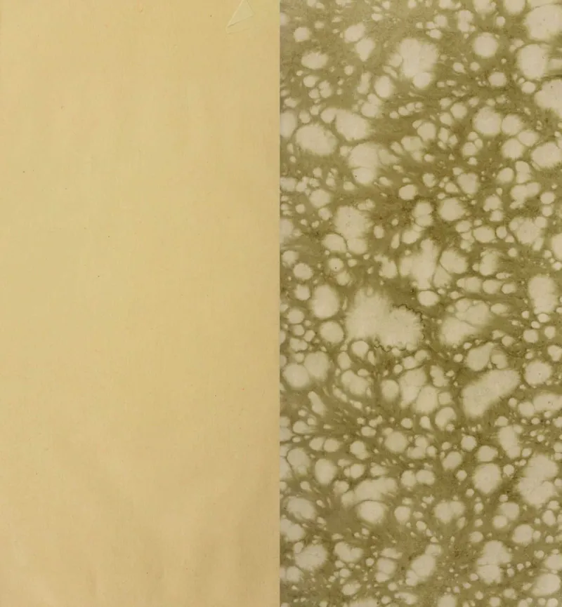 梵音斗科.上下卷.清.娄近垣.撰.清雍正时期四色套印刊本(1)_绝版书_天涯系列_t涯_绝版古籍电子书合集（13大类）_道家