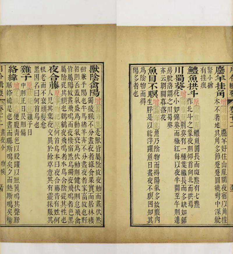 梵音斗科.上下卷.清.娄近垣.撰.清雍正时期四色套印刊本(1)_绝版书_天涯系列_t涯_绝版古籍电子书合集（13大类）_道家