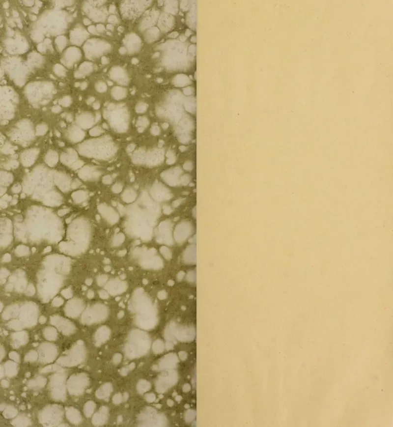 梵音斗科.上下卷.清.娄近垣.撰.清雍正时期四色套印刊本(1)_绝版书_天涯系列_t涯_绝版古籍电子书合集（13大类）_道家