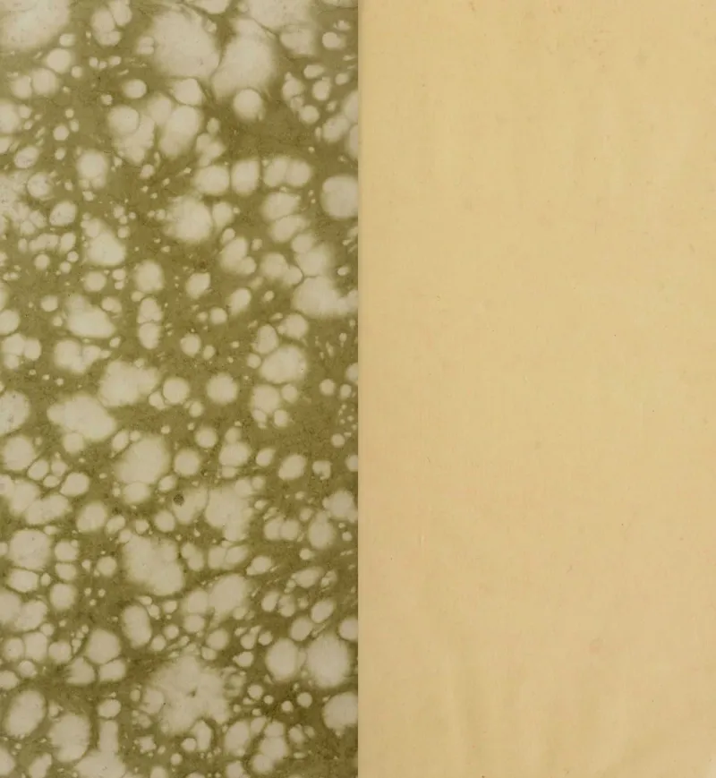 梵音斗科.上下卷.清.娄近垣.撰.清雍正时期四色套印刊本(1)_绝版书_天涯系列_t涯_绝版古籍电子书合集（13大类）_道家