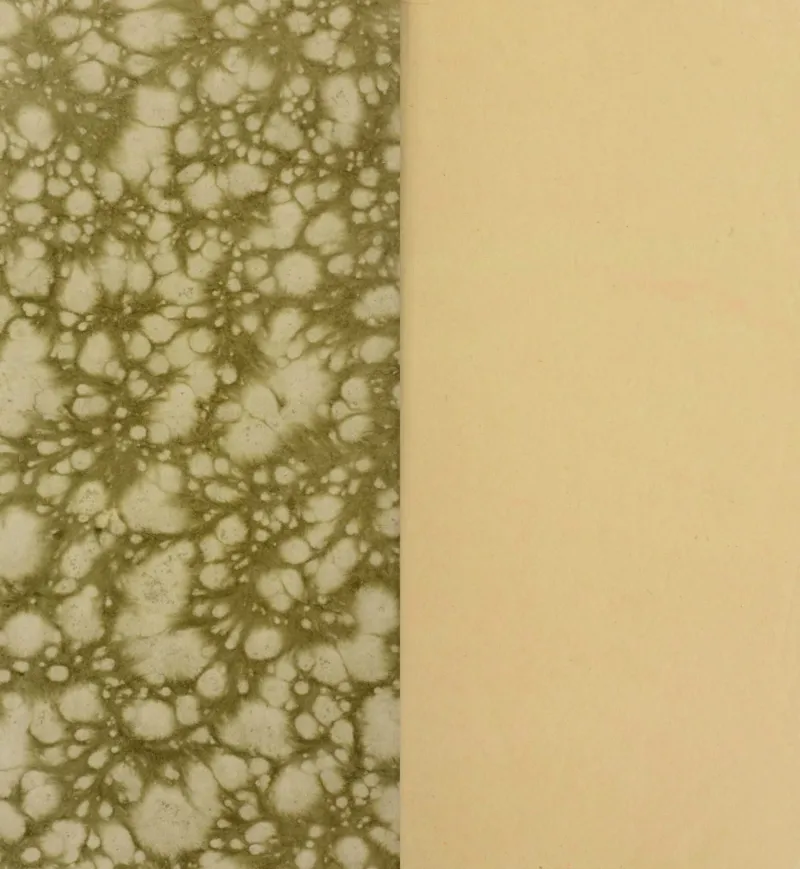 梵音斗科.上下卷.清.娄近垣.撰.清雍正时期四色套印刊本(1)_绝版书_天涯系列_t涯_绝版古籍电子书合集（13大类）_道家