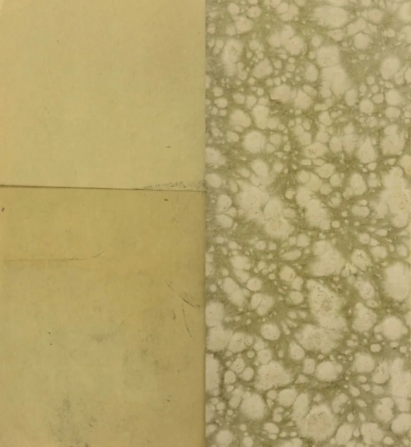 梵音斗科.上下卷.清.娄近垣.撰.清雍正时期四色套印刊本(1)_绝版书_天涯系列_t涯_绝版古籍电子书合集（13大类）_道家