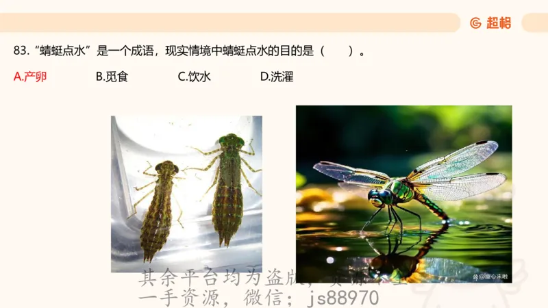 科技常识3（模拟题）_教资_CG26上教资笔试中学_0126上中学-综合素质（更新中）_06文化素养狂刷1000题_讲义