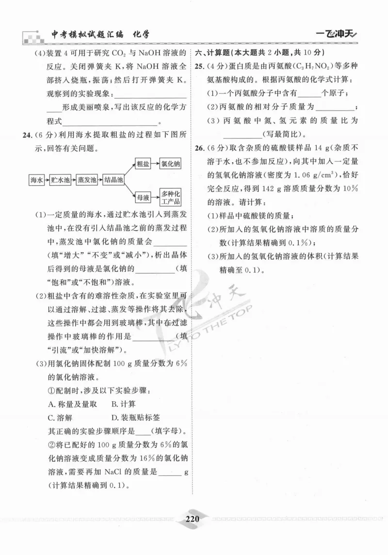 一飞冲天-中考模拟试题汇编-化学_《一飞冲天-中考专项》2026版_一飞冲天-中考模拟试题汇编（2024版）