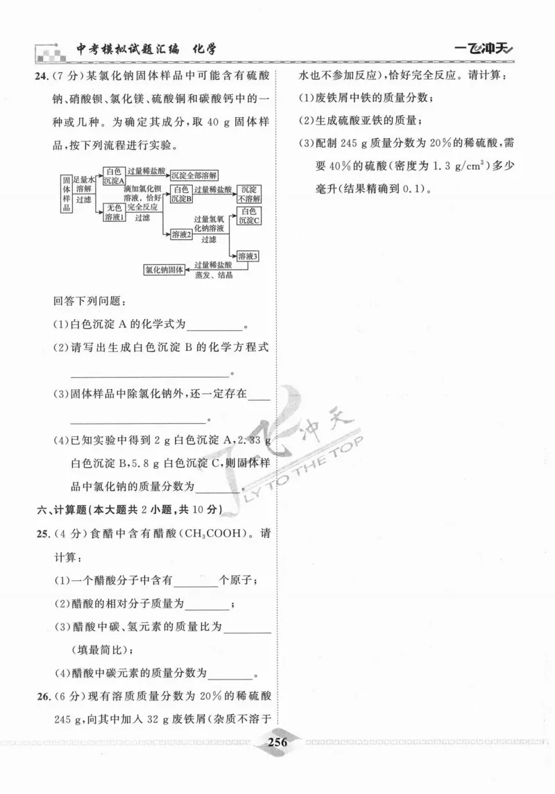 一飞冲天-中考模拟试题汇编-化学_《一飞冲天-中考专项》2026版_一飞冲天-中考模拟试题汇编（2024版）