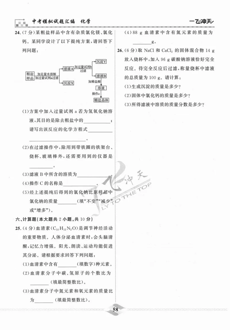 一飞冲天-中考模拟试题汇编-化学_《一飞冲天-中考专项》2026版_一飞冲天-中考模拟试题汇编（2024版）