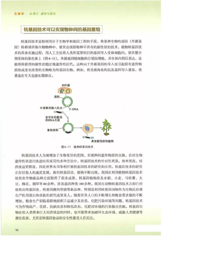 2019新浙科版高中生物必修2《遗传与进化》电子课本_4-教培资料-26年最新资料-同步更新_初中高中教资_03科三专项（进去保存报考的学科即可）_112025高中科目（全）电子教材
