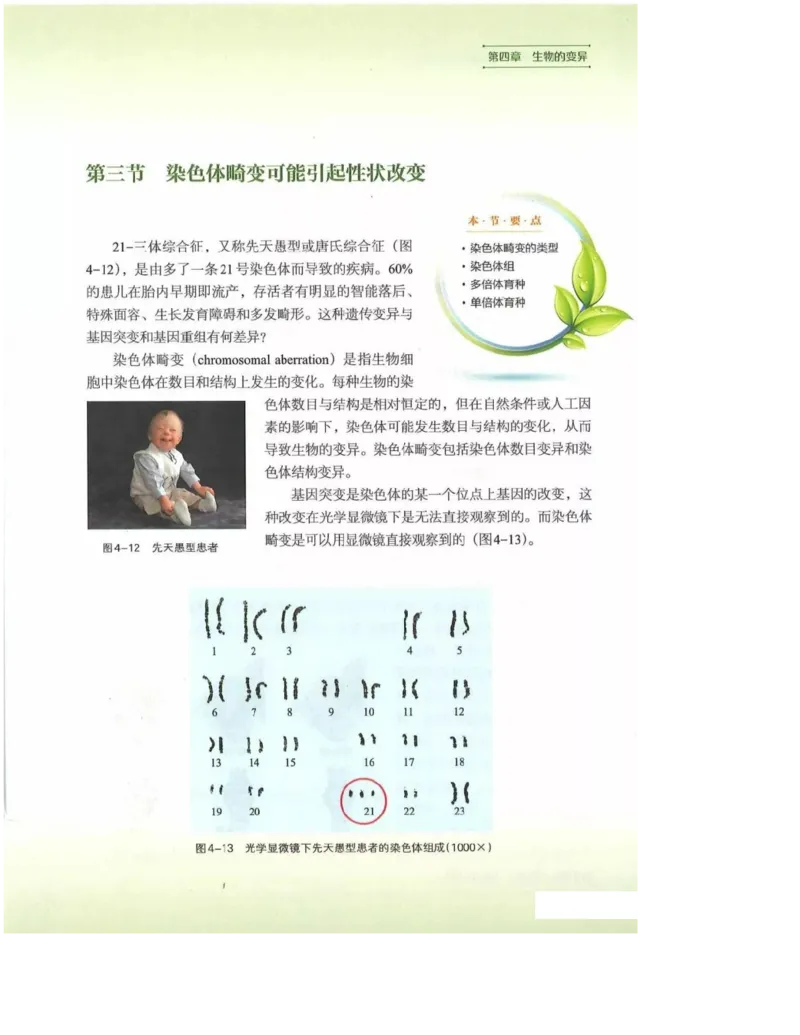 2019新浙科版高中生物必修2《遗传与进化》电子课本_4-教培资料-26年最新资料-同步更新_初中高中教资_03科三专项（进去保存报考的学科即可）_112025高中科目（全）电子教材