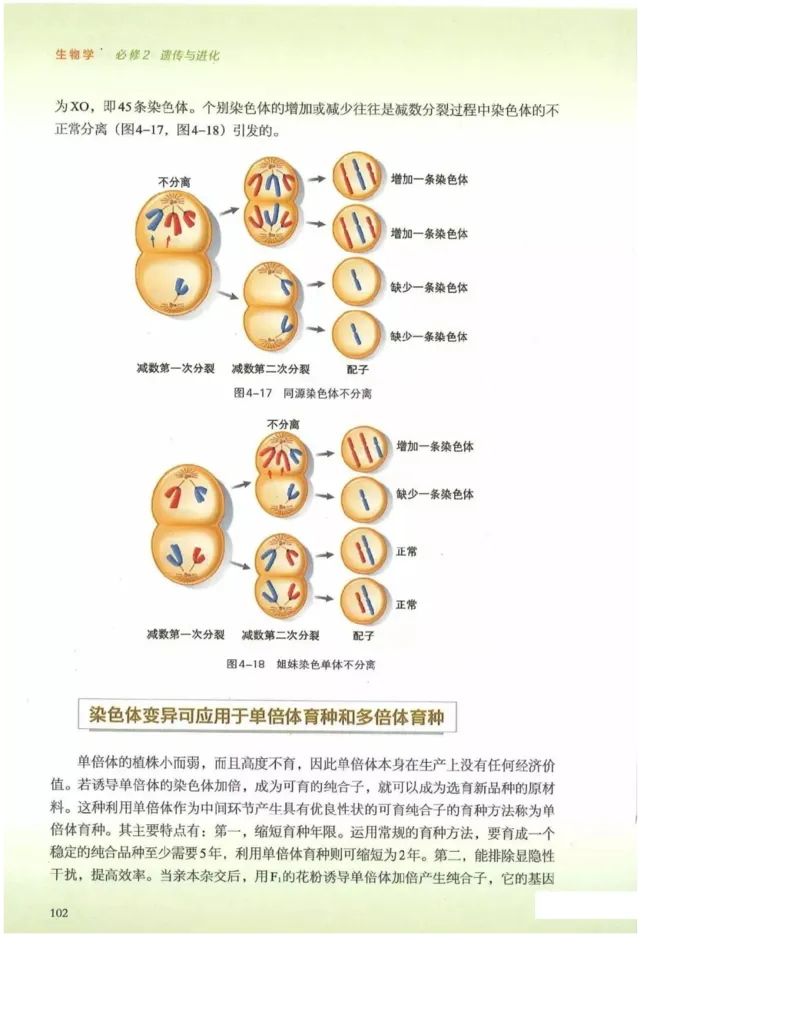 2019新浙科版高中生物必修2《遗传与进化》电子课本_4-教培资料-26年最新资料-同步更新_初中高中教资_03科三专项（进去保存报考的学科即可）_112025高中科目（全）电子教材
