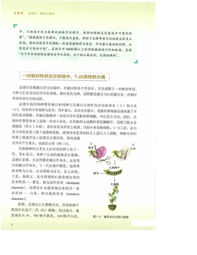 2019新浙科版高中生物必修2《遗传与进化》电子课本_4-教培资料-26年最新资料-同步更新_初中高中教资_03科三专项（进去保存报考的学科即可）_112025高中科目（全）电子教材