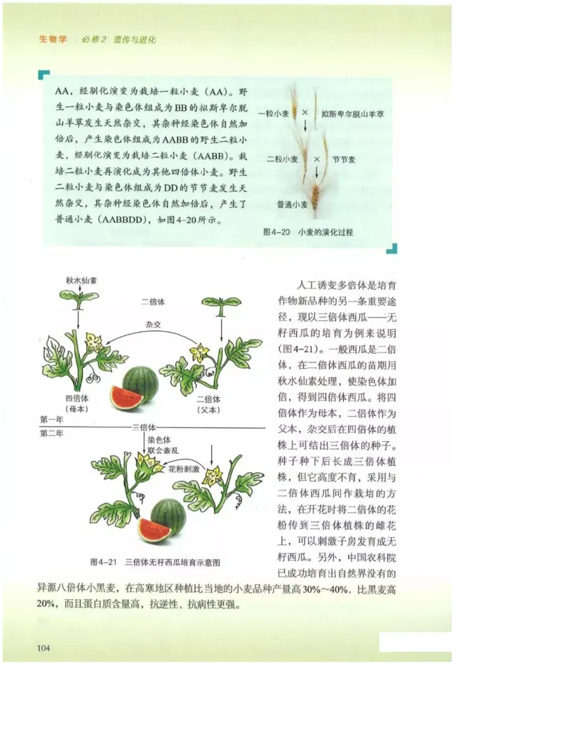 2019新浙科版高中生物必修2《遗传与进化》电子课本_4-教培资料-26年最新资料-同步更新_初中高中教资_03科三专项（进去保存报考的学科即可）_112025高中科目（全）电子教材
