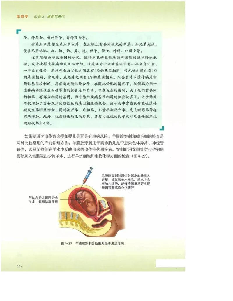 2019新浙科版高中生物必修2《遗传与进化》电子课本_4-教培资料-26年最新资料-同步更新_初中高中教资_03科三专项（进去保存报考的学科即可）_112025高中科目（全）电子教材