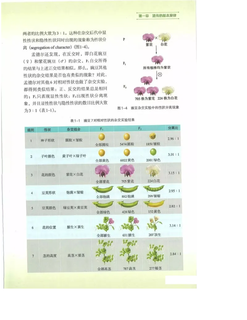 2019新浙科版高中生物必修2《遗传与进化》电子课本_4-教培资料-26年最新资料-同步更新_初中高中教资_03科三专项（进去保存报考的学科即可）_112025高中科目（全）电子教材