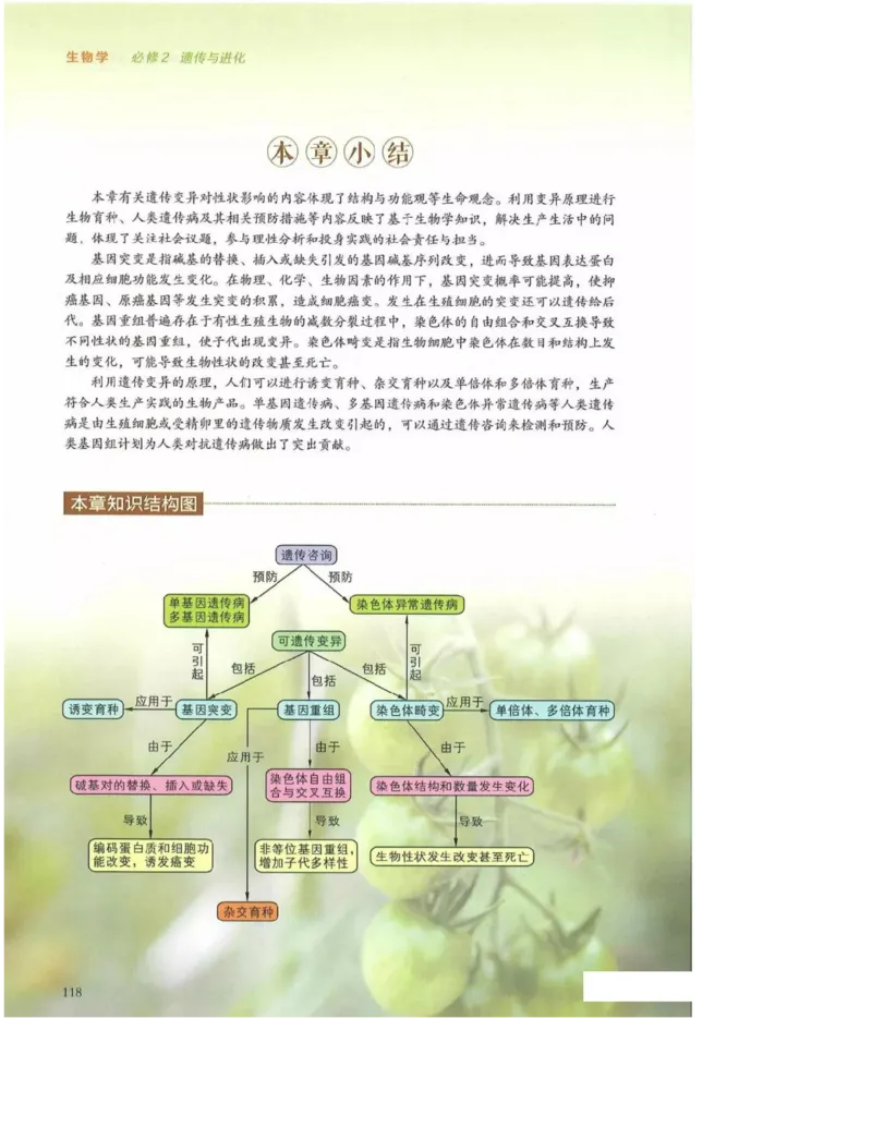 2019新浙科版高中生物必修2《遗传与进化》电子课本_4-教培资料-26年最新资料-同步更新_初中高中教资_03科三专项（进去保存报考的学科即可）_112025高中科目（全）电子教材