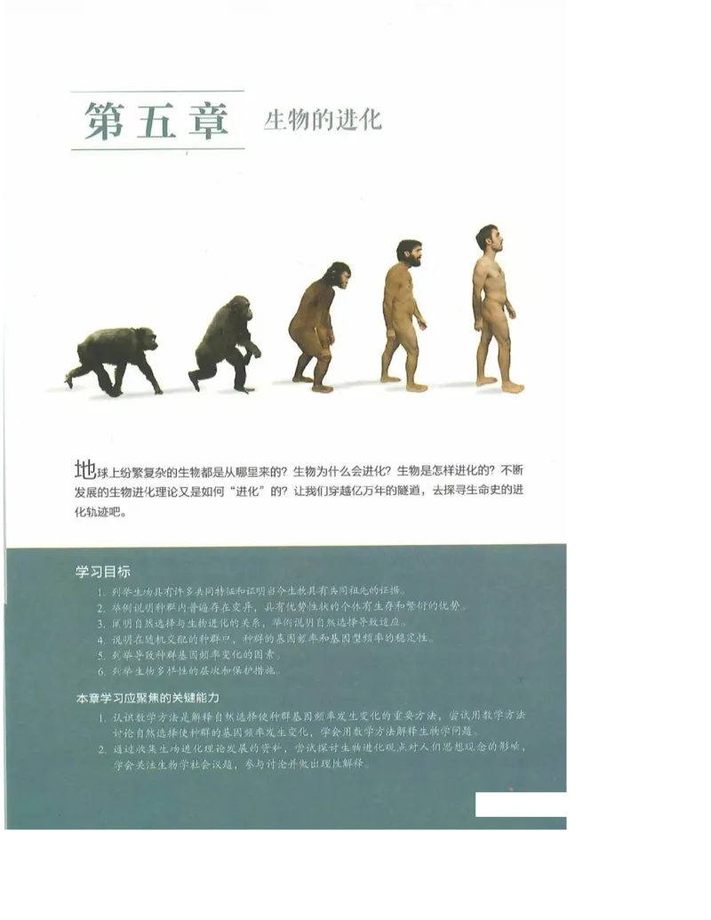 2019新浙科版高中生物必修2《遗传与进化》电子课本_4-教培资料-26年最新资料-同步更新_初中高中教资_03科三专项（进去保存报考的学科即可）_112025高中科目（全）电子教材
