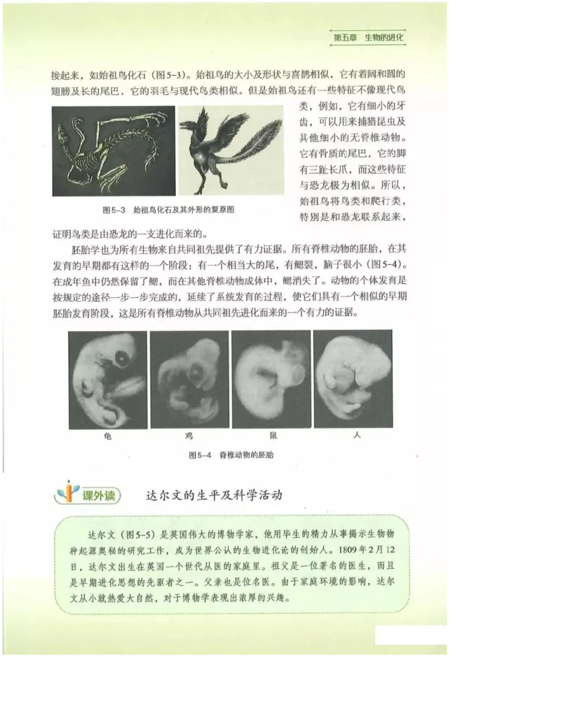 2019新浙科版高中生物必修2《遗传与进化》电子课本_4-教培资料-26年最新资料-同步更新_初中高中教资_03科三专项（进去保存报考的学科即可）_112025高中科目（全）电子教材