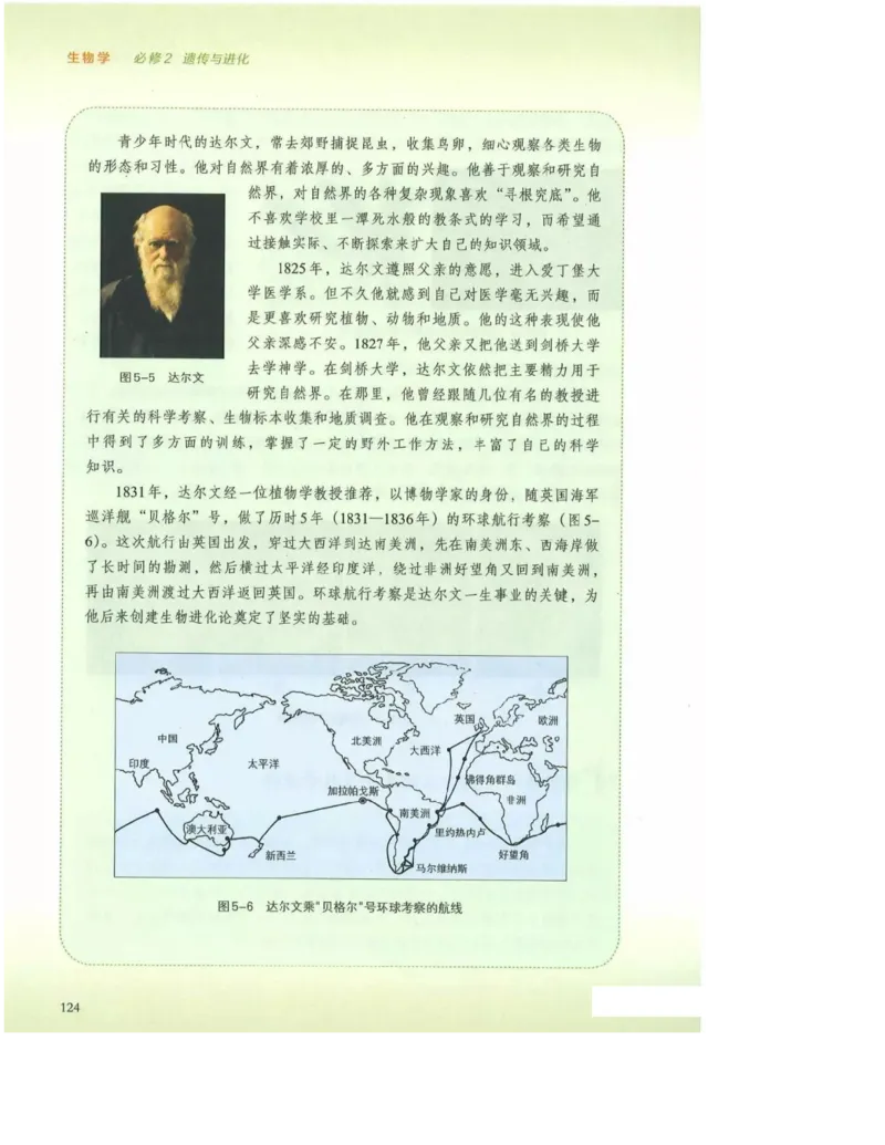 2019新浙科版高中生物必修2《遗传与进化》电子课本_4-教培资料-26年最新资料-同步更新_初中高中教资_03科三专项（进去保存报考的学科即可）_112025高中科目（全）电子教材