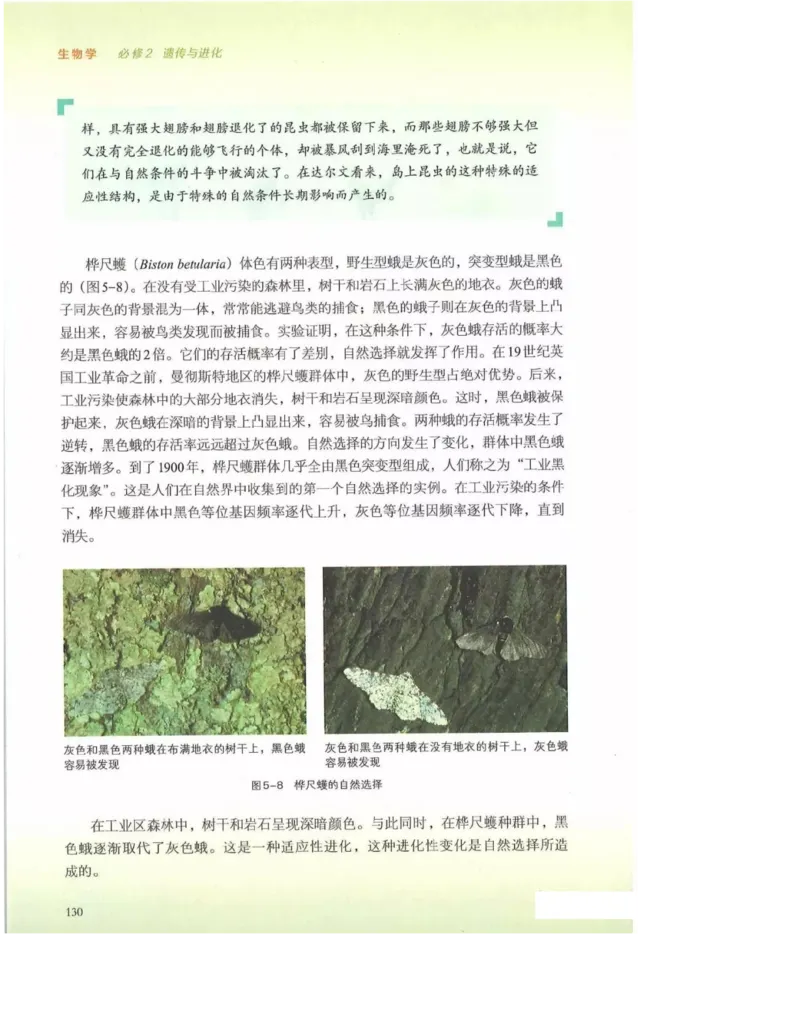 2019新浙科版高中生物必修2《遗传与进化》电子课本_4-教培资料-26年最新资料-同步更新_初中高中教资_03科三专项（进去保存报考的学科即可）_112025高中科目（全）电子教材