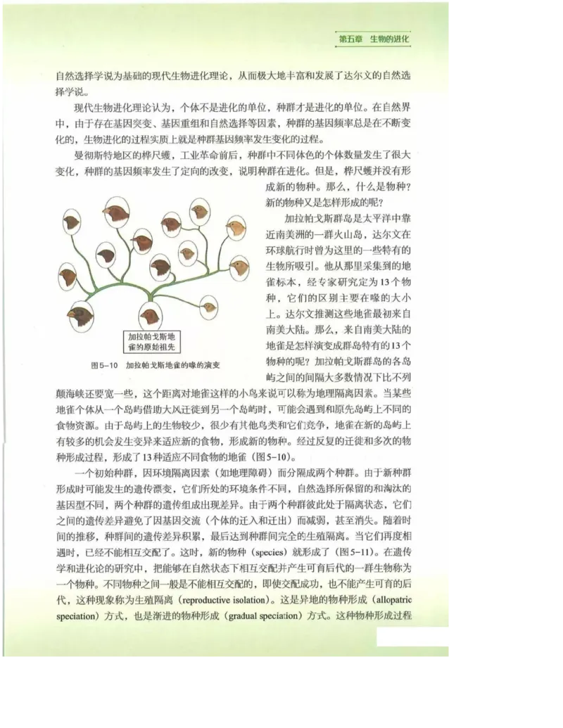 2019新浙科版高中生物必修2《遗传与进化》电子课本_4-教培资料-26年最新资料-同步更新_初中高中教资_03科三专项（进去保存报考的学科即可）_112025高中科目（全）电子教材