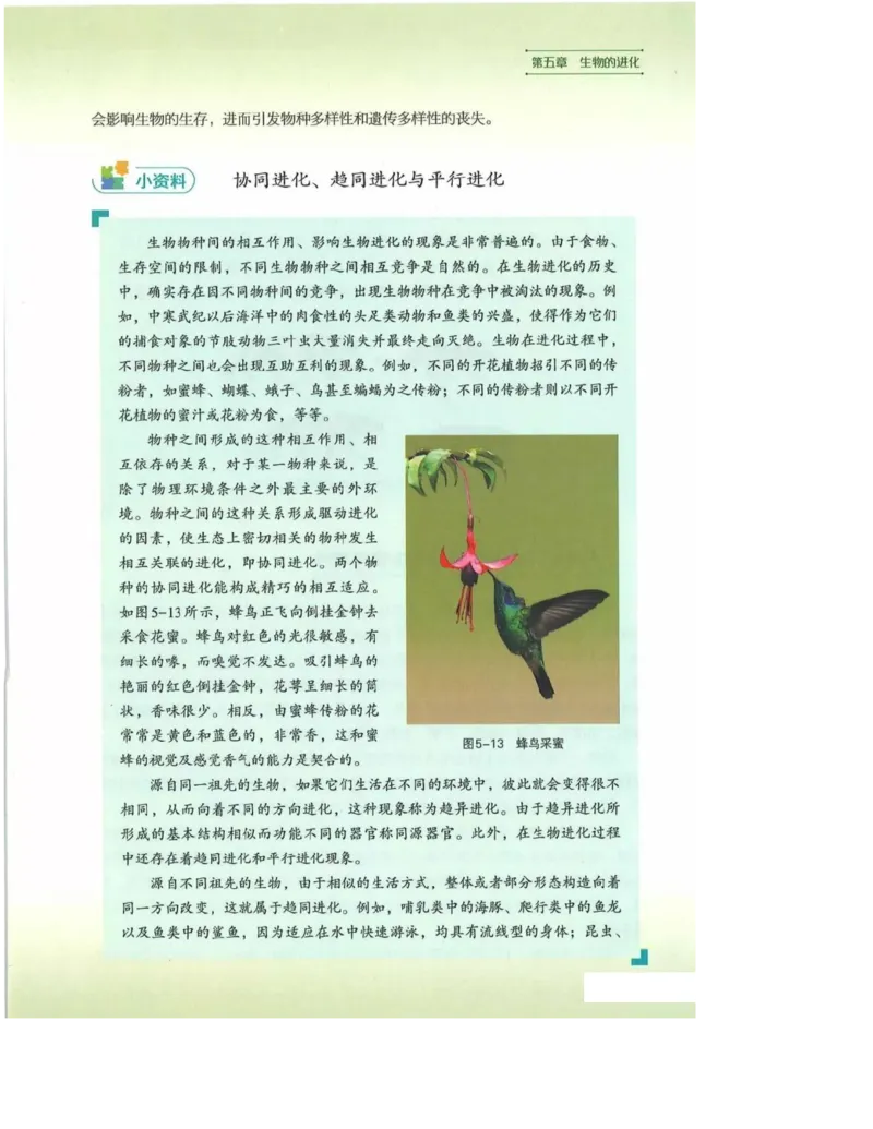 2019新浙科版高中生物必修2《遗传与进化》电子课本_4-教培资料-26年最新资料-同步更新_初中高中教资_03科三专项（进去保存报考的学科即可）_112025高中科目（全）电子教材