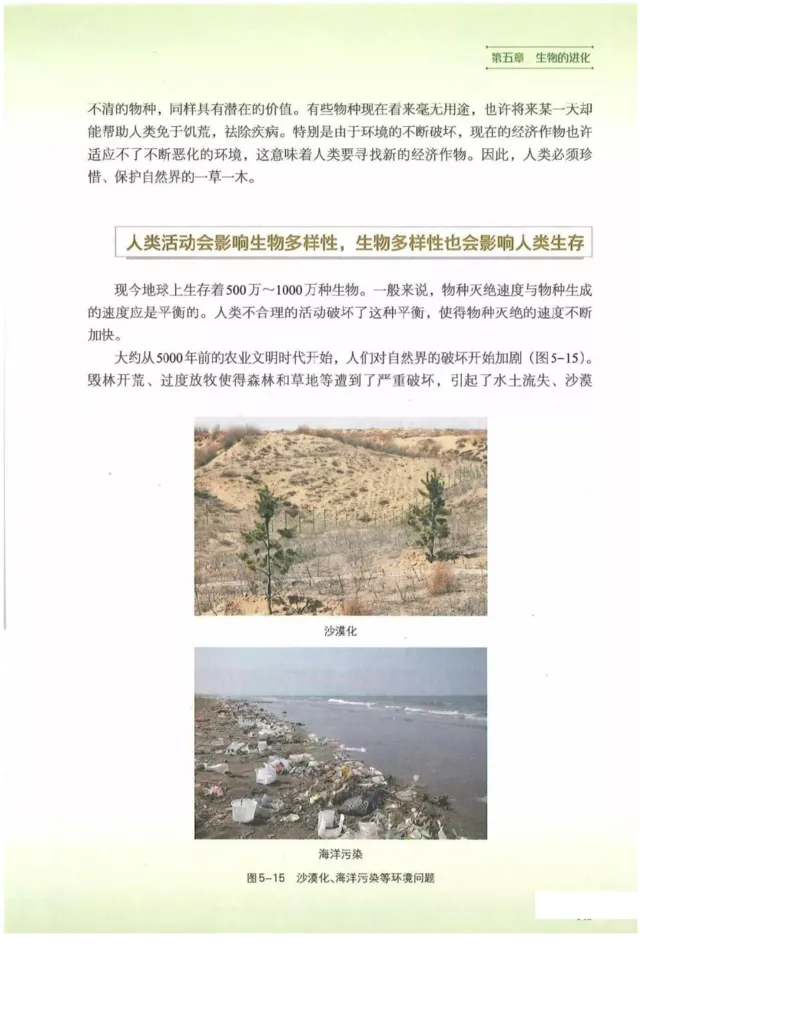 2019新浙科版高中生物必修2《遗传与进化》电子课本_4-教培资料-26年最新资料-同步更新_初中高中教资_03科三专项（进去保存报考的学科即可）_112025高中科目（全）电子教材