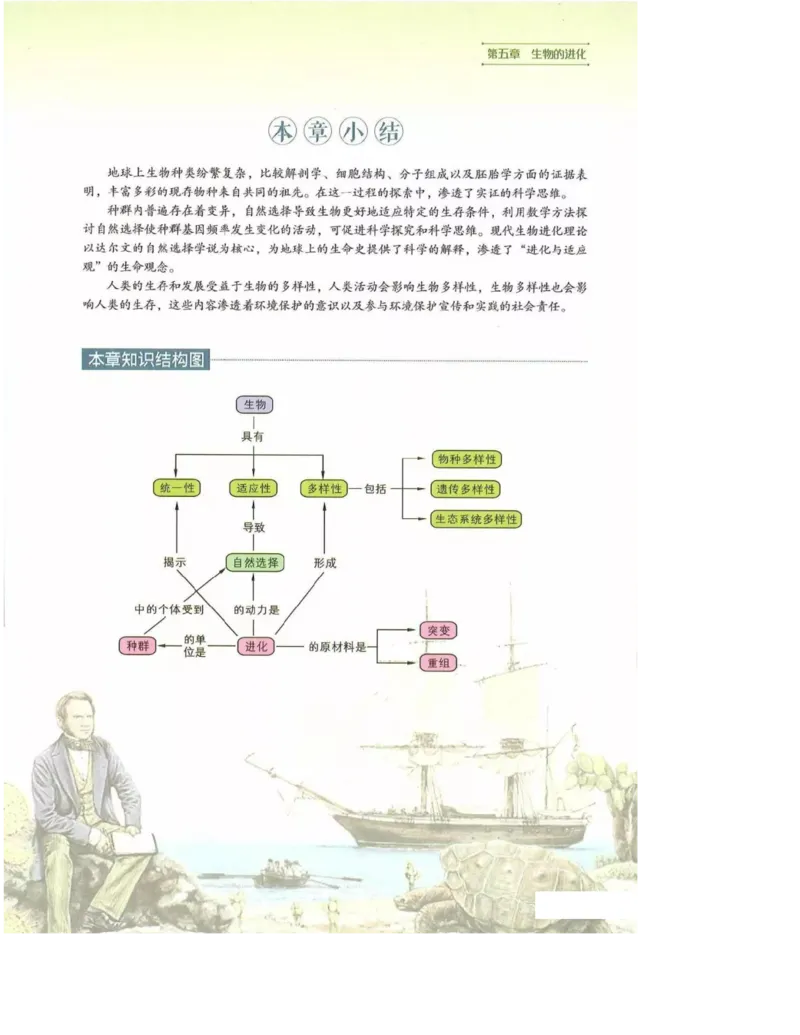 2019新浙科版高中生物必修2《遗传与进化》电子课本_4-教培资料-26年最新资料-同步更新_初中高中教资_03科三专项（进去保存报考的学科即可）_112025高中科目（全）电子教材