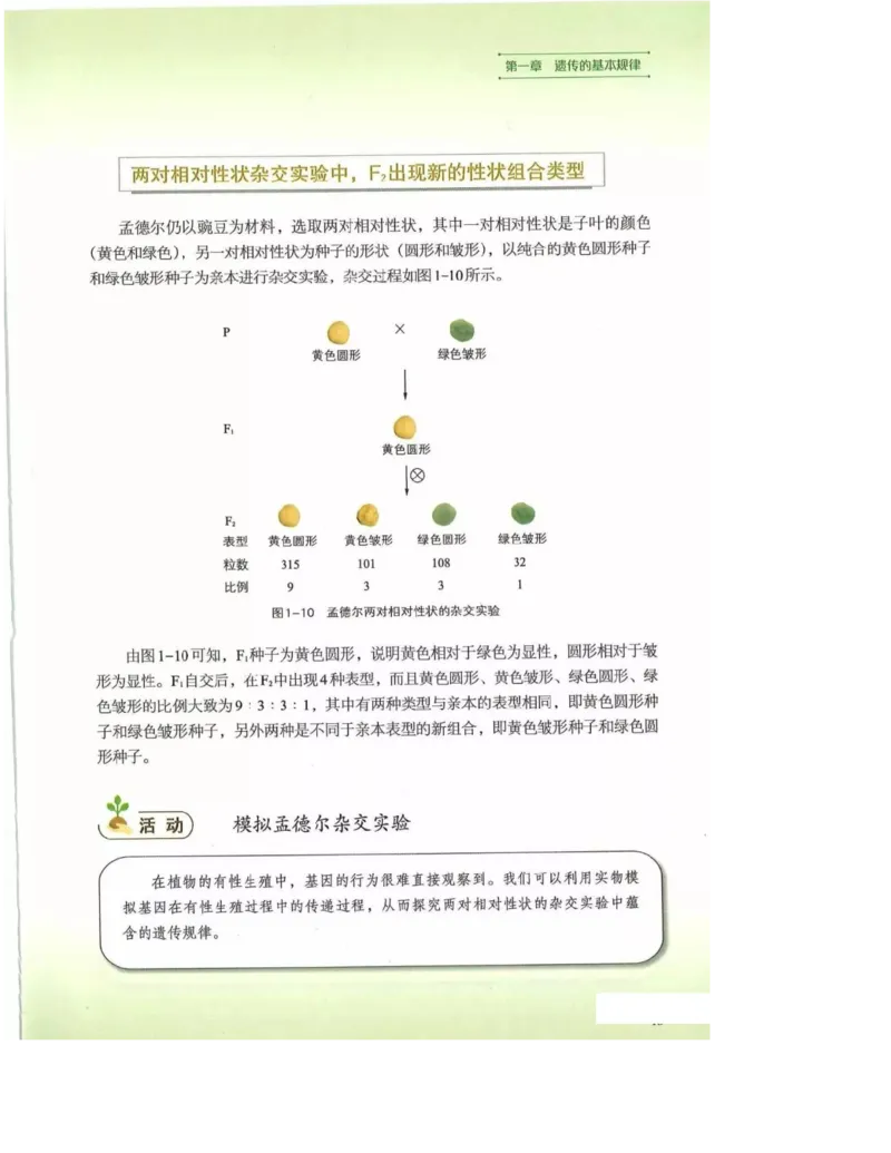 2019新浙科版高中生物必修2《遗传与进化》电子课本_4-教培资料-26年最新资料-同步更新_初中高中教资_03科三专项（进去保存报考的学科即可）_112025高中科目（全）电子教材