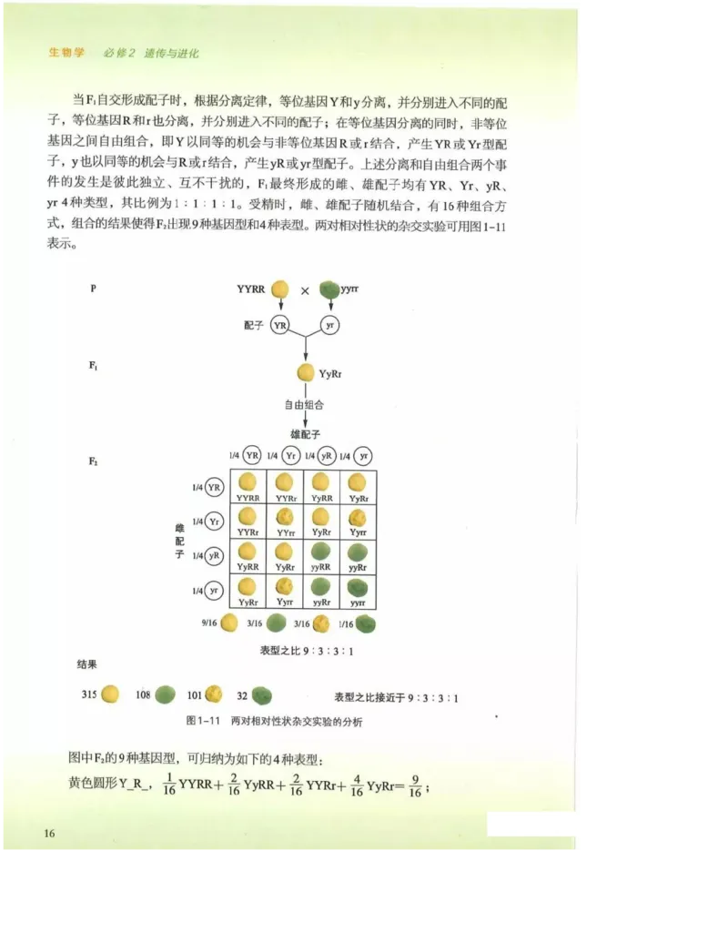 2019新浙科版高中生物必修2《遗传与进化》电子课本_4-教培资料-26年最新资料-同步更新_初中高中教资_03科三专项（进去保存报考的学科即可）_112025高中科目（全）电子教材