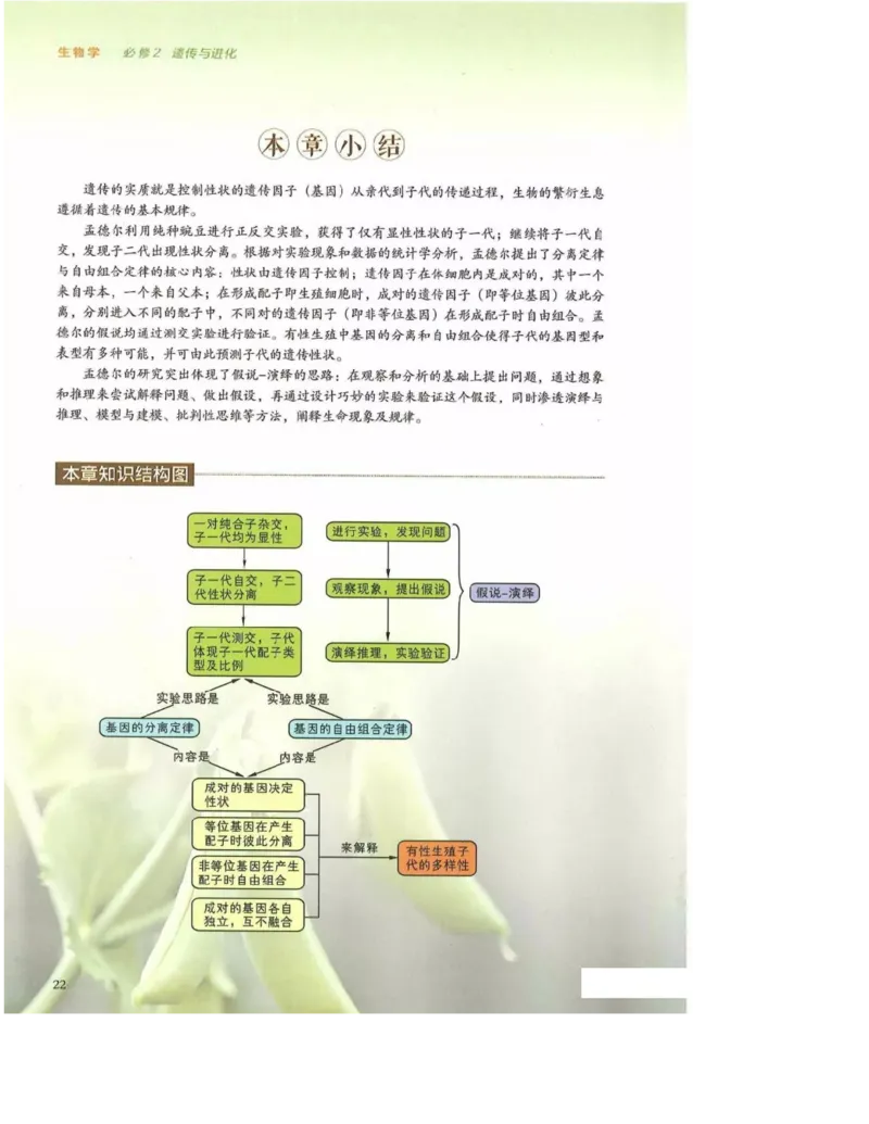 2019新浙科版高中生物必修2《遗传与进化》电子课本_4-教培资料-26年最新资料-同步更新_初中高中教资_03科三专项（进去保存报考的学科即可）_112025高中科目（全）电子教材