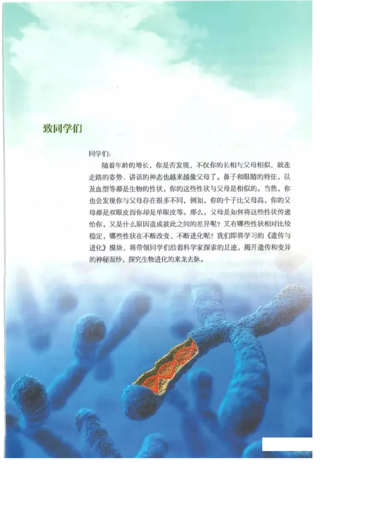 2019新浙科版高中生物必修2《遗传与进化》电子课本_4-教培资料-26年最新资料-同步更新_初中高中教资_03科三专项（进去保存报考的学科即可）_112025高中科目（全）电子教材