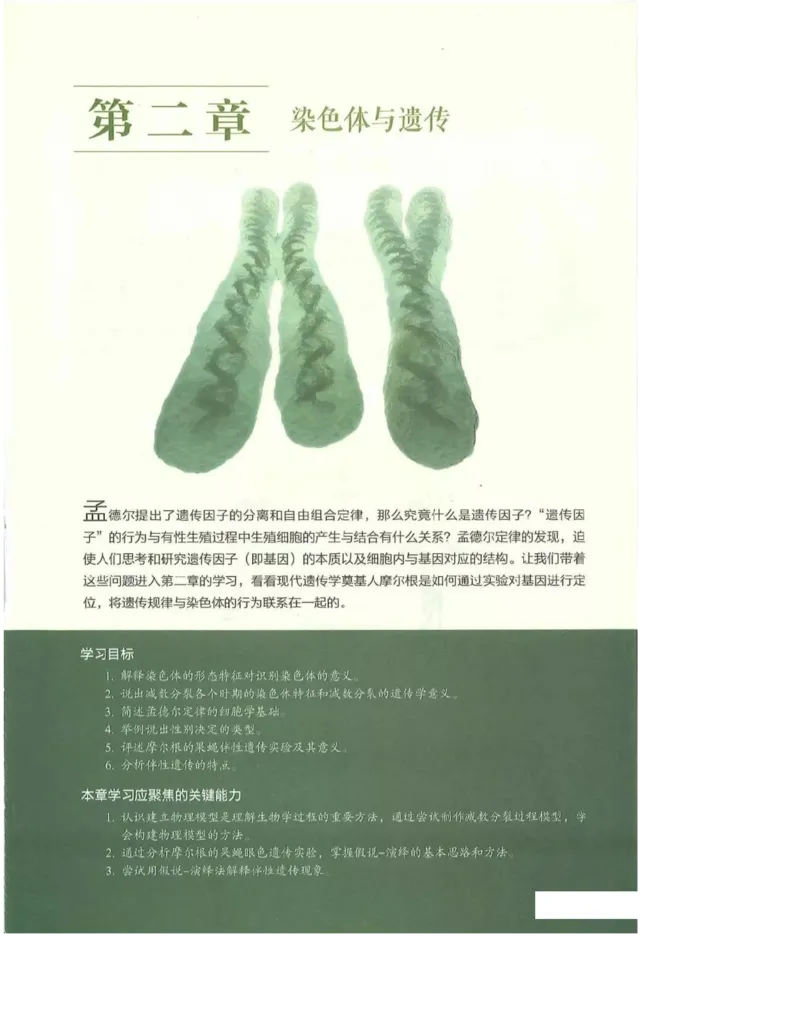 2019新浙科版高中生物必修2《遗传与进化》电子课本_4-教培资料-26年最新资料-同步更新_初中高中教资_03科三专项（进去保存报考的学科即可）_112025高中科目（全）电子教材