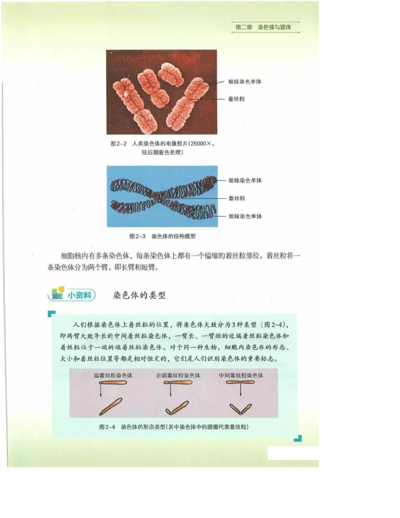2019新浙科版高中生物必修2《遗传与进化》电子课本_4-教培资料-26年最新资料-同步更新_初中高中教资_03科三专项（进去保存报考的学科即可）_112025高中科目（全）电子教材