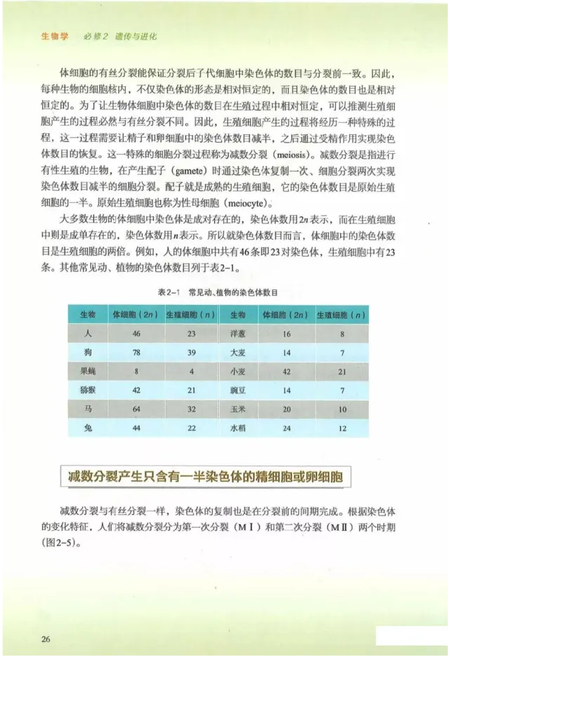 2019新浙科版高中生物必修2《遗传与进化》电子课本_4-教培资料-26年最新资料-同步更新_初中高中教资_03科三专项（进去保存报考的学科即可）_112025高中科目（全）电子教材
