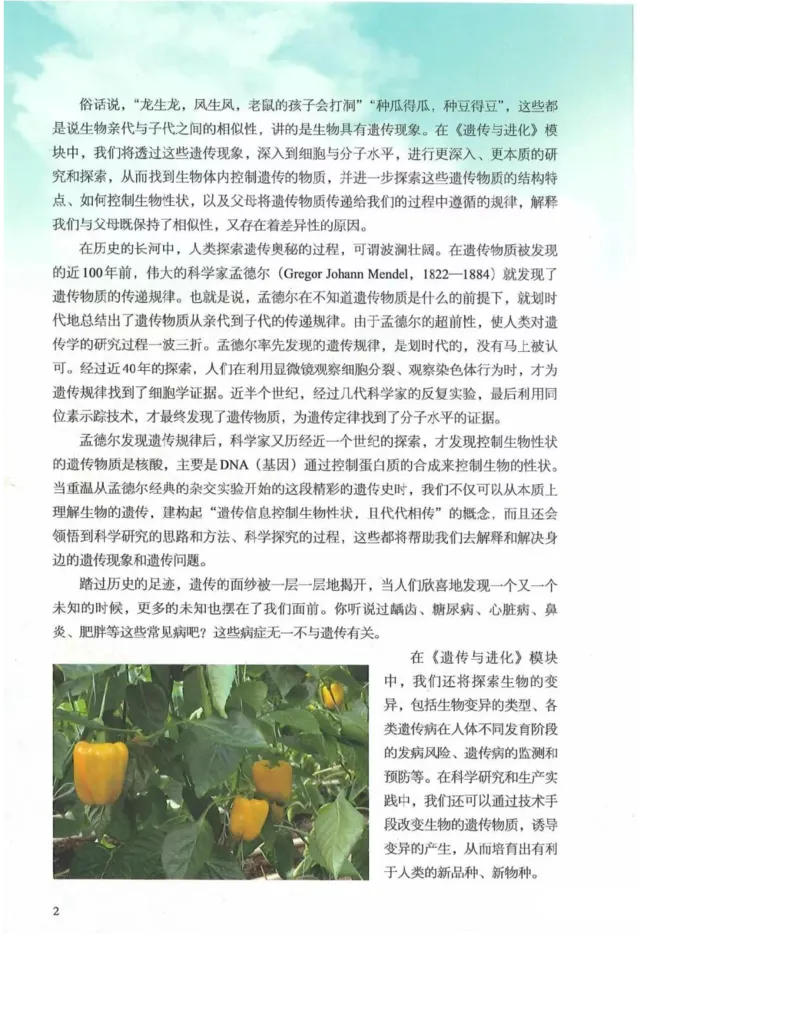 2019新浙科版高中生物必修2《遗传与进化》电子课本_4-教培资料-26年最新资料-同步更新_初中高中教资_03科三专项（进去保存报考的学科即可）_112025高中科目（全）电子教材